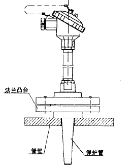 WZP-731法兰套管式热电阻安装图片