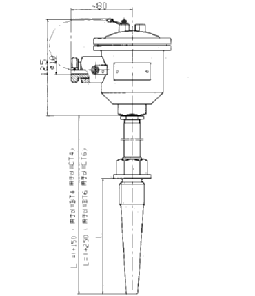 WRE-640A隔爆型本安型热电偶安装图片