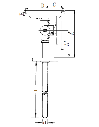 WSS-384固定法兰万向双金属温度计安装图片