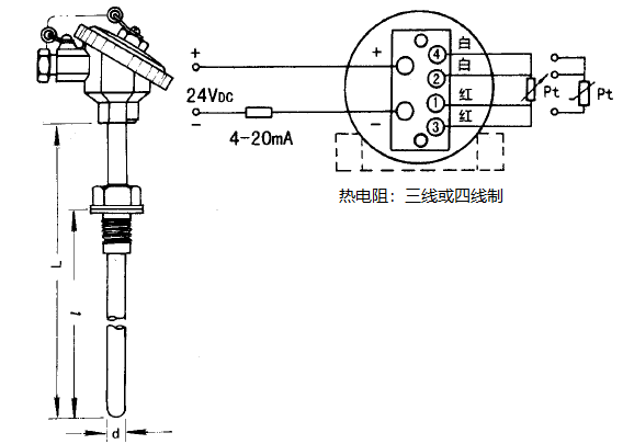 SBWZ-2481/230热电阻一体化温度变送器安装图片