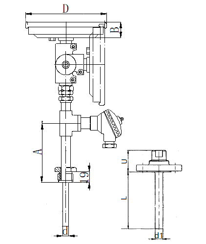 WSSP-474法兰抽芯式万向一体化双金属温度计安装图片